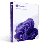 Windows 11 Professional Workstation Digital License